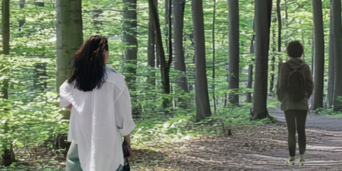 Geschwisterstreit Konflikt erwachsene Geschwister